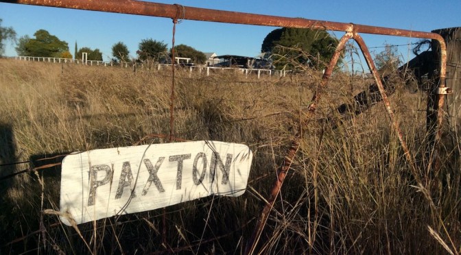 A massacre and Katherine Mansfield