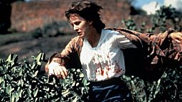 ARD_6331228532_Original_DMB