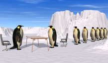 BEST FLIPPER FORWARD in the jobseeking game.