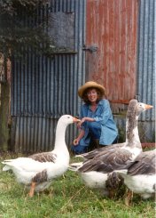 MARY'S Mary Moody with some of Glenray Park's geese.