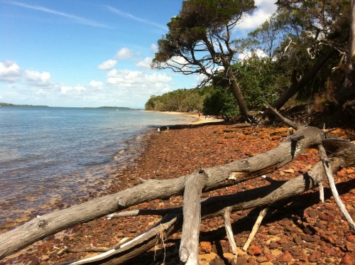 MAGIC MORETON A bay full of stories.