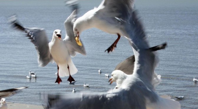 The publish button killed the media