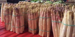 MARKET FRESH White asparagus at Cahors farmers' market.