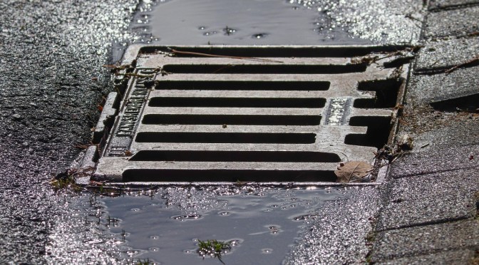 ‘A fearless reckoning’: Dirt Trap set for November release