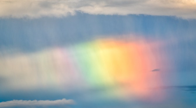 Queering the book trade: five LGBTIQA-themed reads to look out for